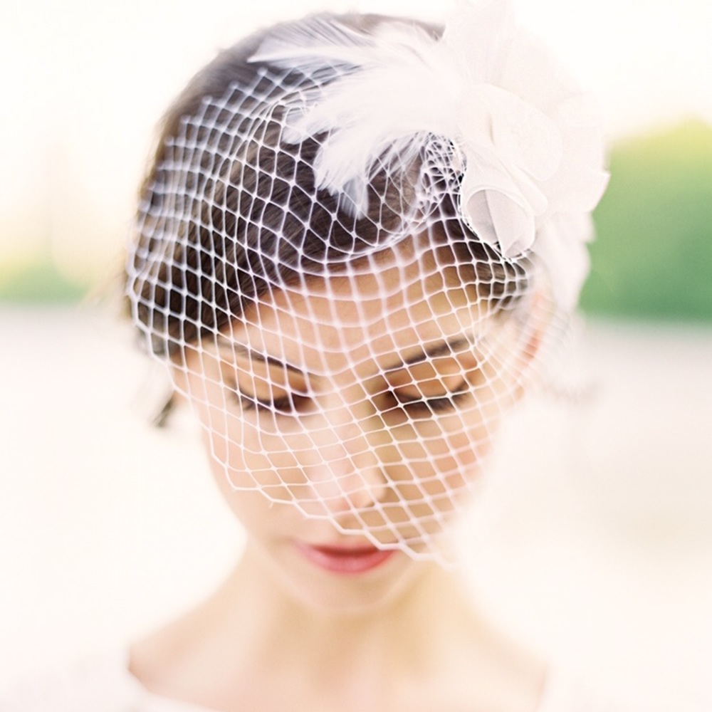 Lila Birdcage Bridal Veil with Pearl and Crystal